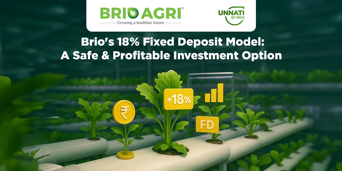 Brio Fixed Deposit 18% Returns