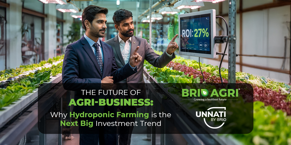 Investment in Hydroponics